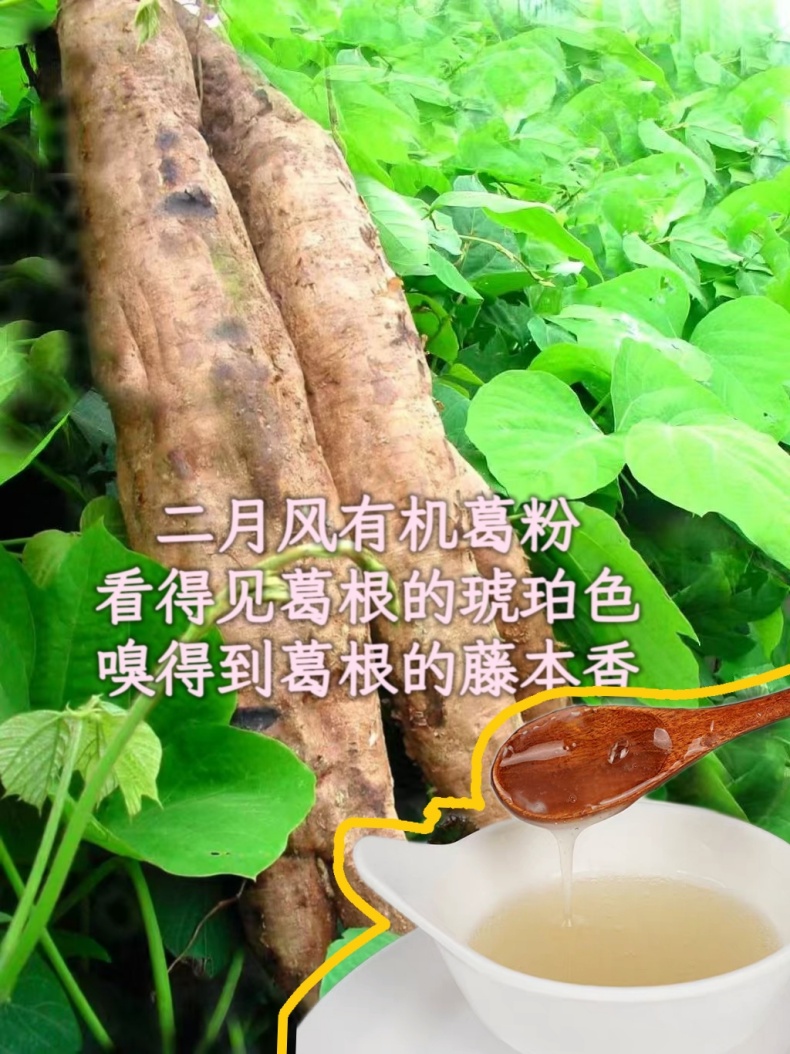 二月風(fēng)有機(jī)葛粉，看得見葛根的琥珀色，嗅得到葛根的藤本香_790.jpg