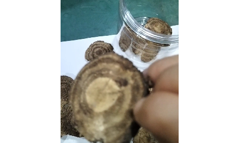 4 個細節(jié)識破假葛根：野生葛根片的形態(tài)密碼與鑒別指南