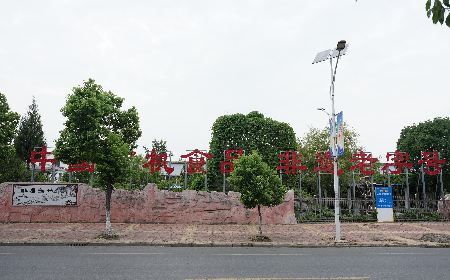 當(dāng)定制葛粉時，我們真正在選擇什么？