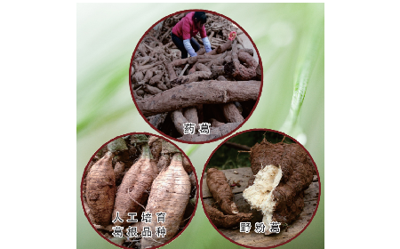 買葛粉是買野生的好？還是野生有機的好？