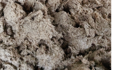 深入大洪山，只為一口純凈 -二月風(fēng)今冬野生葛根收購(gòu)紀(jì)實(shí)